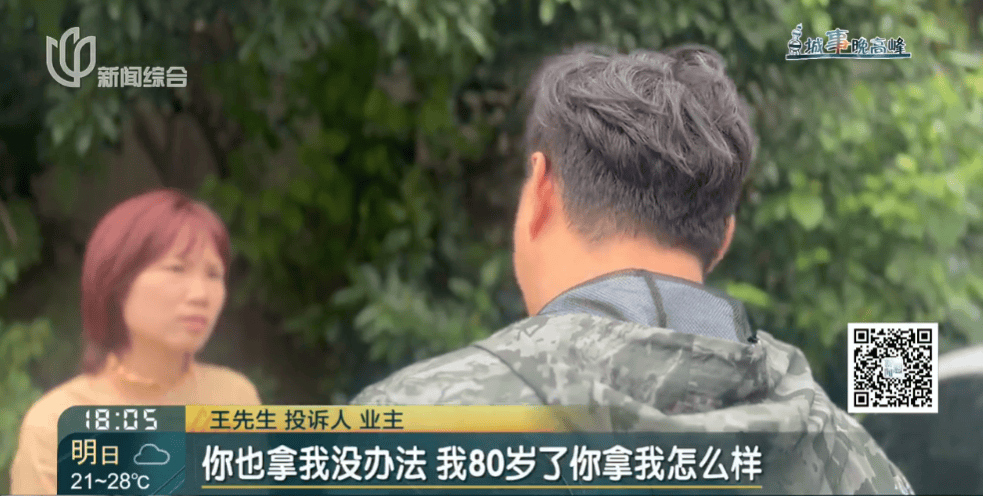 皇冠信用網在线申请_上海一小区20年香樟说砍就砍皇冠信用網在线申请！八旬老爷叔：拿我怎么样？