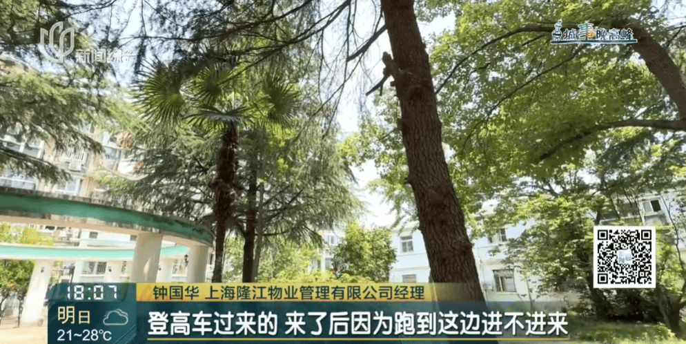 皇冠信用網在线申请_上海一小区20年香樟说砍就砍皇冠信用網在线申请！八旬老爷叔：拿我怎么样？