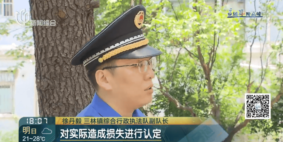 皇冠信用網在线申请_上海一小区20年香樟说砍就砍皇冠信用網在线申请！八旬老爷叔：拿我怎么样？