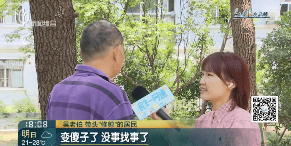 皇冠信用網在线申请_上海一小区20年香樟说砍就砍皇冠信用網在线申请！八旬老爷叔：拿我怎么样？