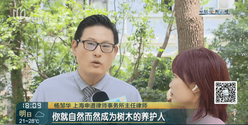 皇冠信用網在线申请_上海一小区20年香樟说砍就砍皇冠信用網在线申请！八旬老爷叔：拿我怎么样？