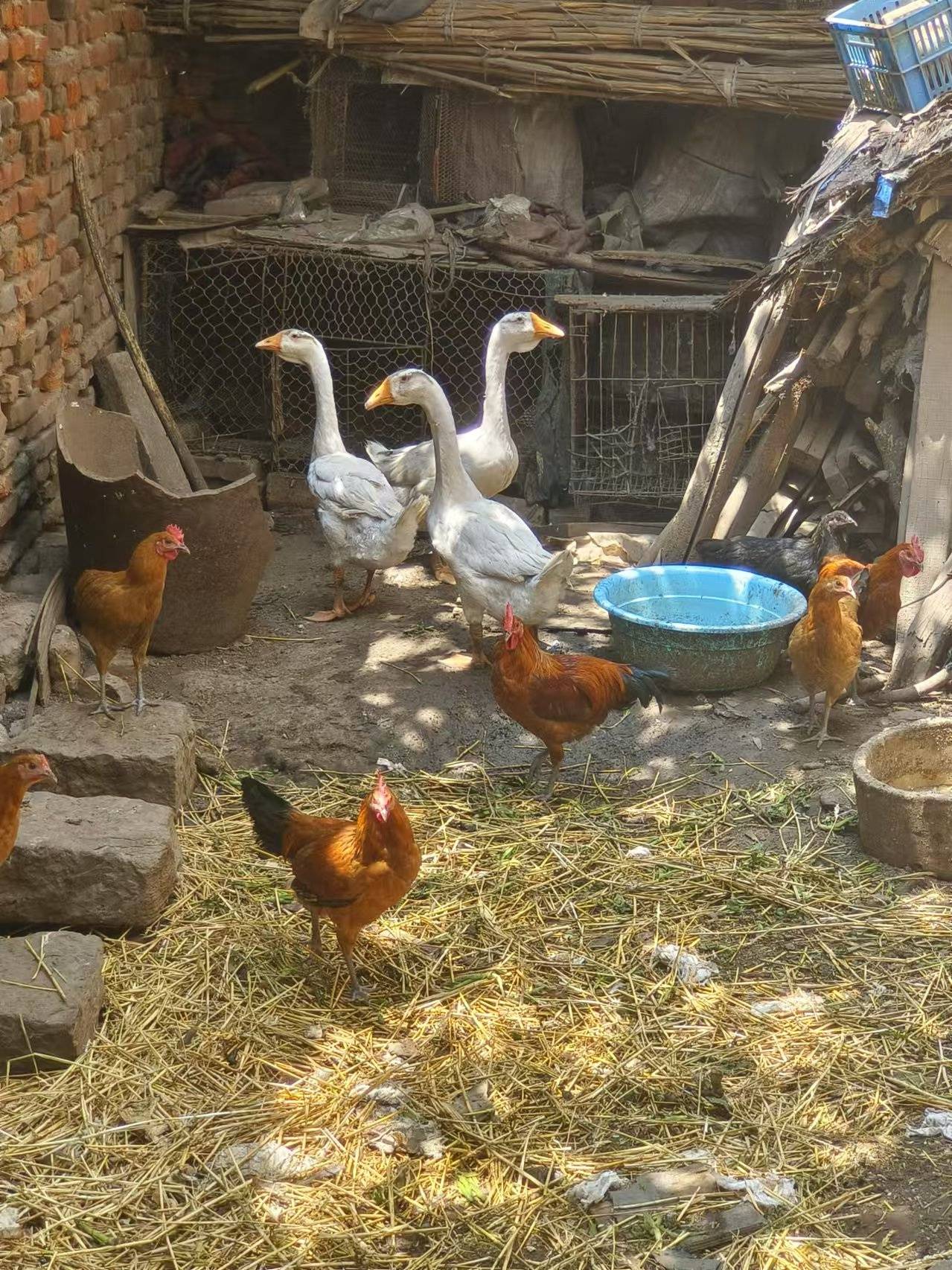 皇冠信用网代理流程_女子回应求交房视频被指“擦边”：什么样的人就会有什么眼光