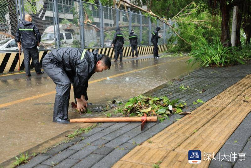 皇冠信用網哪里申请_从“山竹”开始皇冠信用網哪里申请，深圳这家企业每遇台风都组织员工排险清障